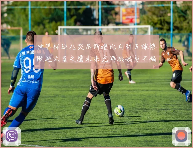 世界杯巡礼突尼斯遭比利时五球惨败迦太基之鹰未来充满挑战与不确定性